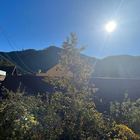 布拉索夫Retro House Mountain View别墅 外观 照片